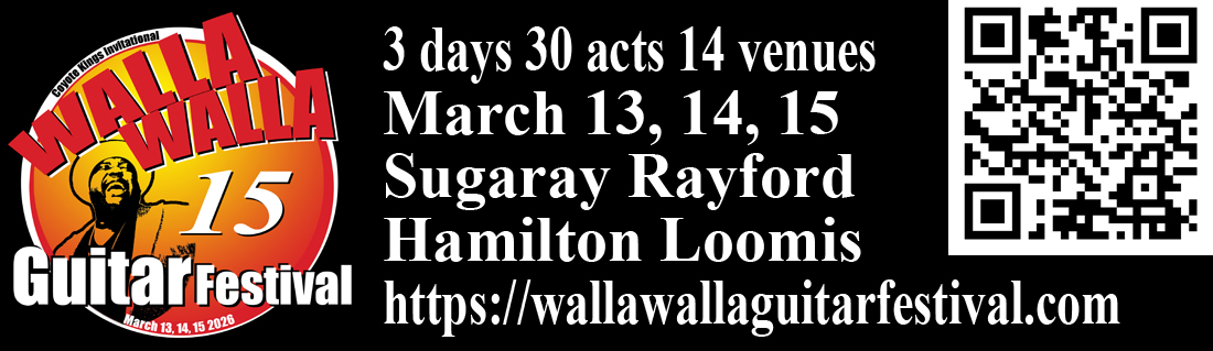 Banner Ad Guitar Festival