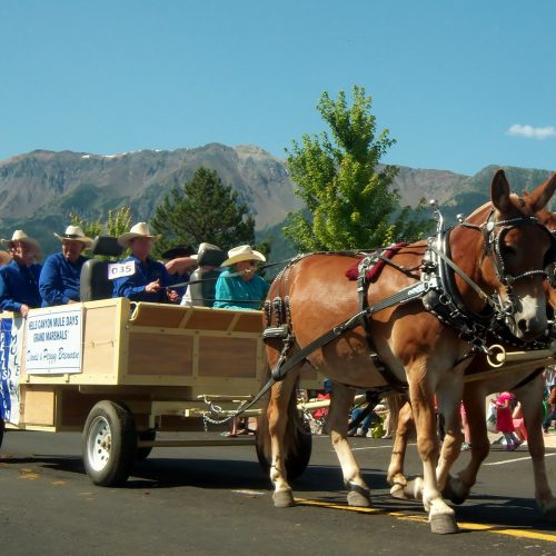 Hells Canyon Mule Days Celebrates its 45th Anniversary